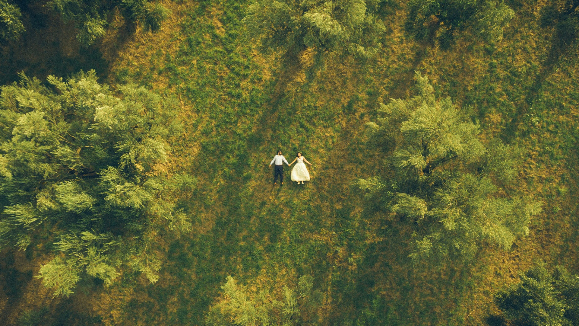 Λήψη με drone δάσος, HAIDIS, Cinematographer γάμου, βάπτισης, εκδηλώσεων και events Λήψη με drone δάσος, HAIDIS, Cinematographer γάμου, βάπτισης, εκδηλώσεων και events
